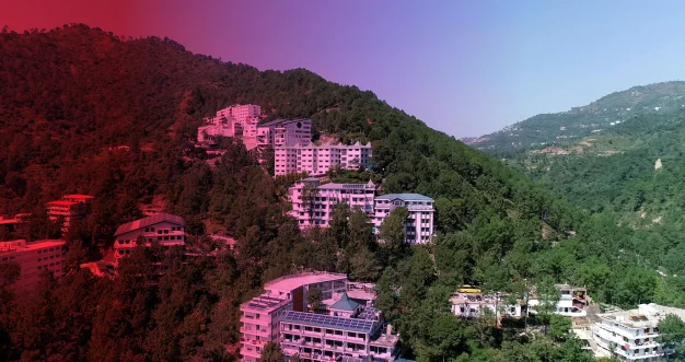 banner-img of home page